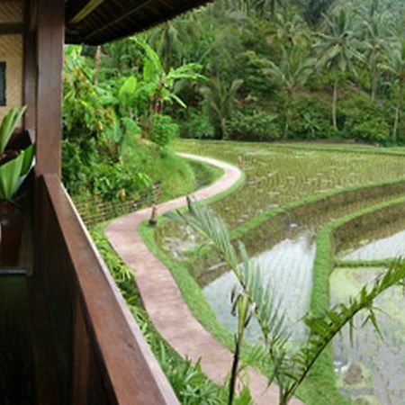 Bali Eco Stay Екстериор снимка
