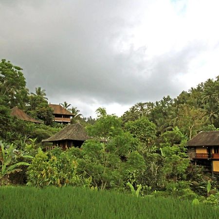 Bali Eco Stay Екстериор снимка