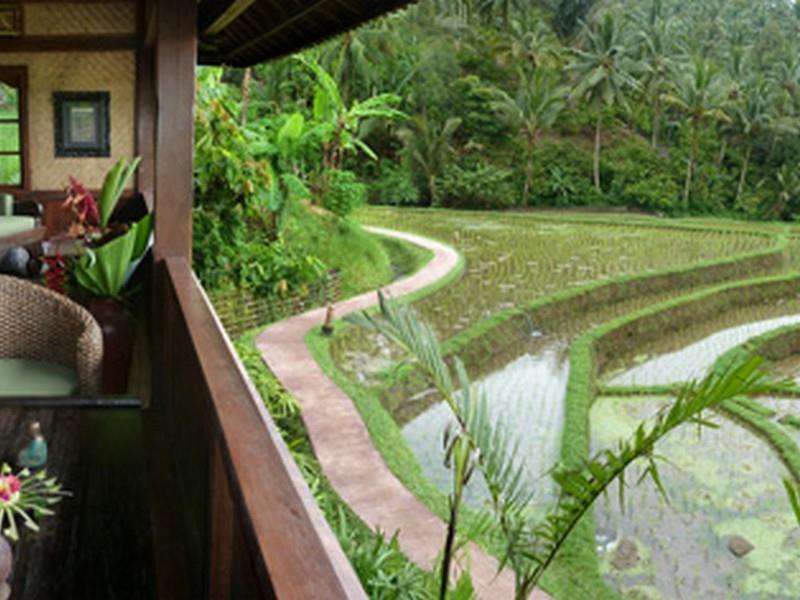 Bali Eco Stay Екстериор снимка
