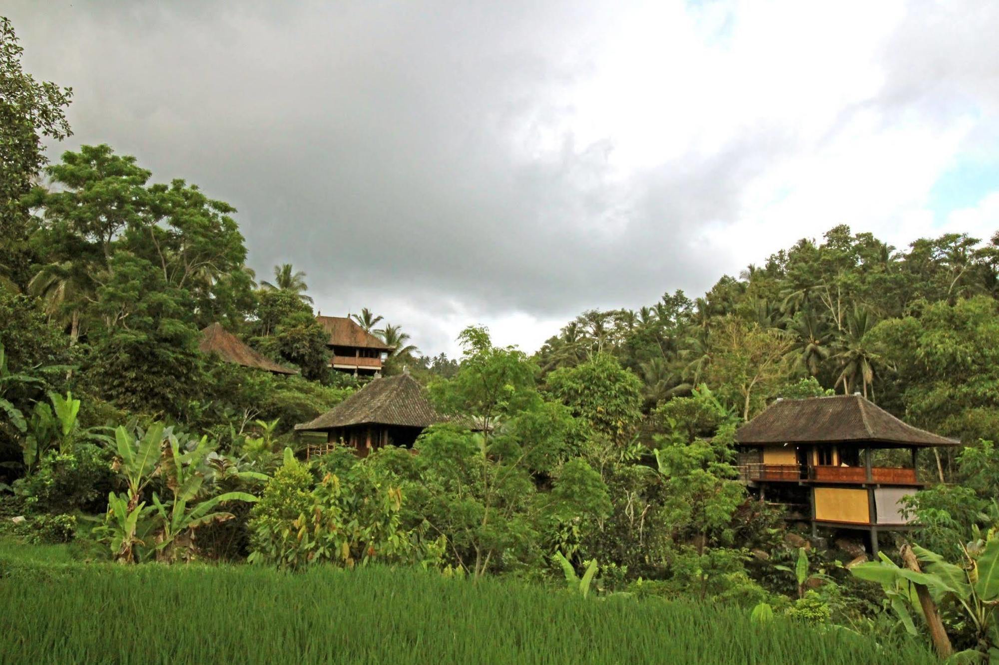 Bali Eco Stay Екстериор снимка